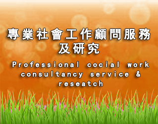 專業社會工作顧問服務及研究