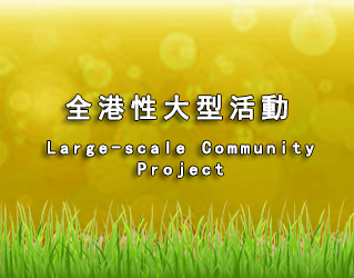 全港性大型活動